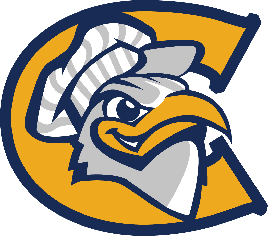 Chattanooga Mocs 2001-2007 Alternate Logo 04 iron on paper